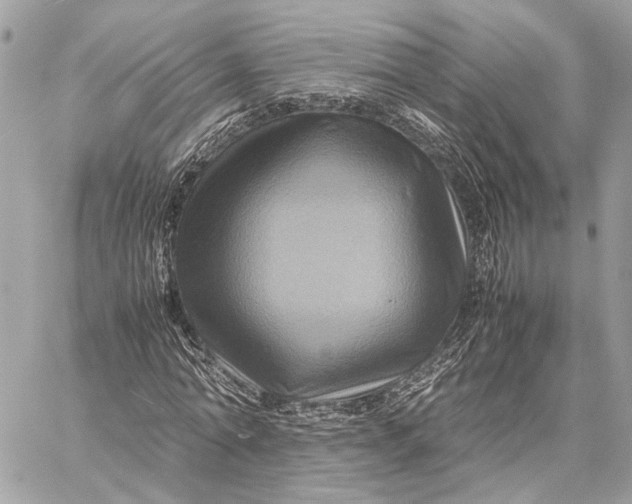 X0000059250774200511041333