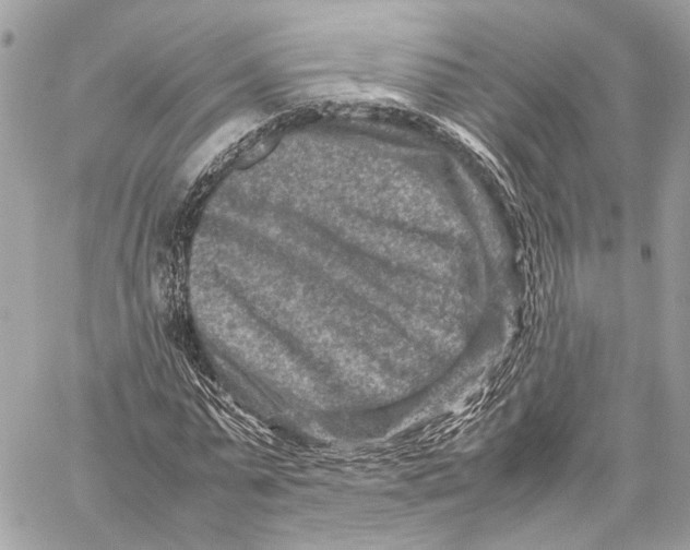 X0000059250775200511041333