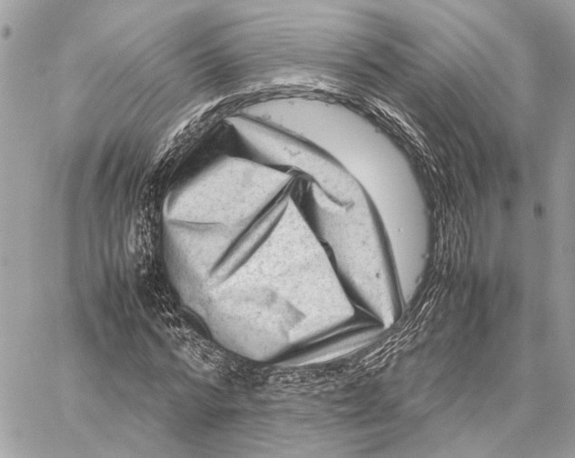 X0000059250776200511041333