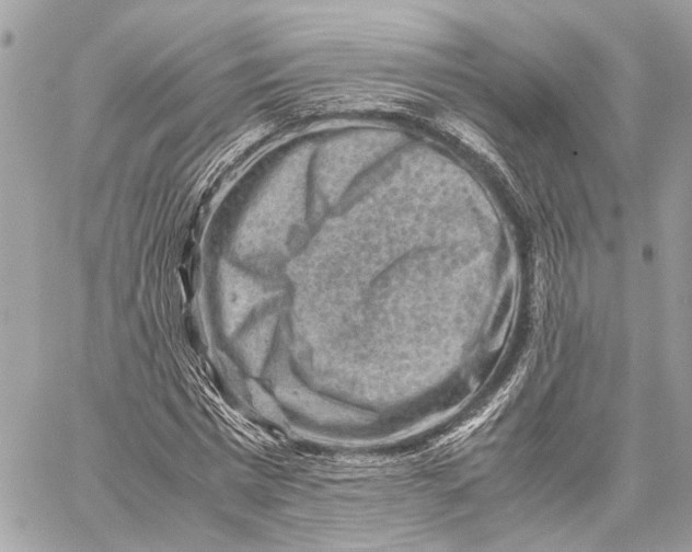 X0000059250777200511041333