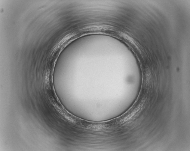 X0000059250778200511041333