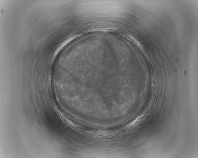 X0000059250779200511041333