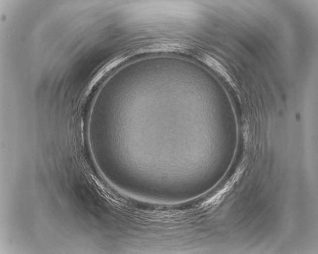 X0000059250781200511041333