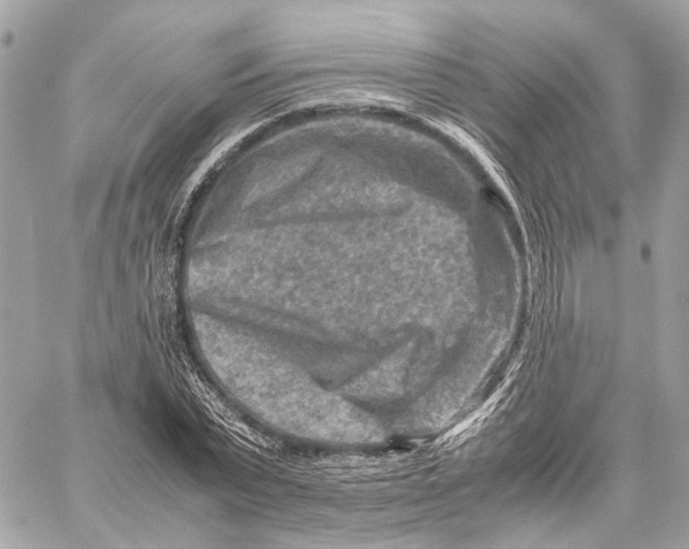 X0000059250783200511041333