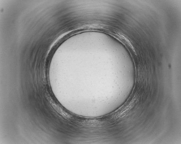 X0000059250784200511041333