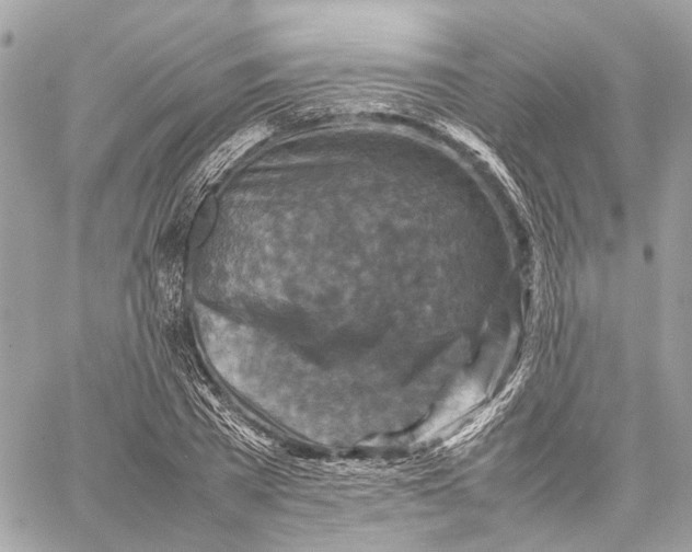 X0000059250785200511041333