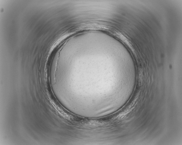 X0000059250787200511041333