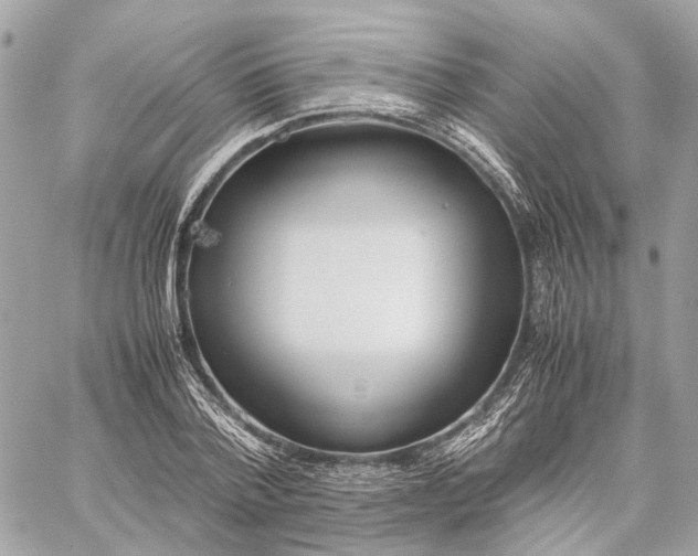 X0000059250788200511041333