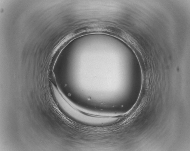 X0000059250789200511041333