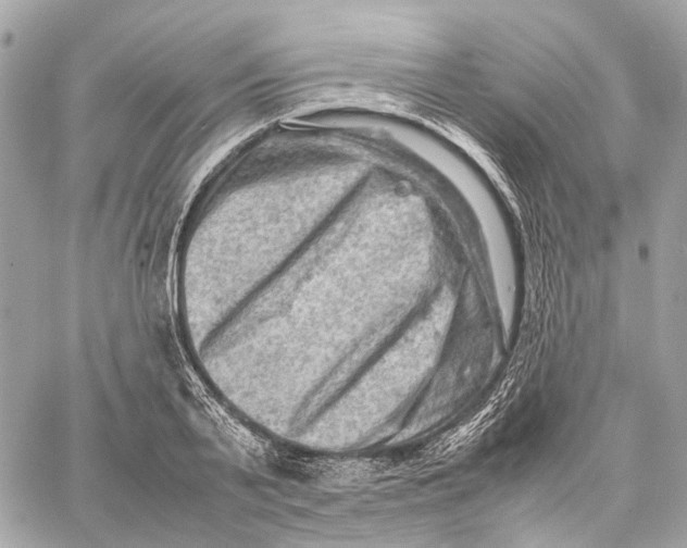 X0000059250791200511041332