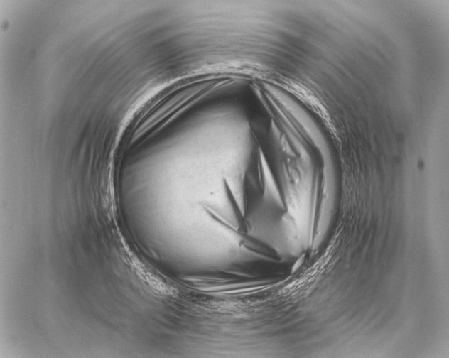 X0000059250792200511041332