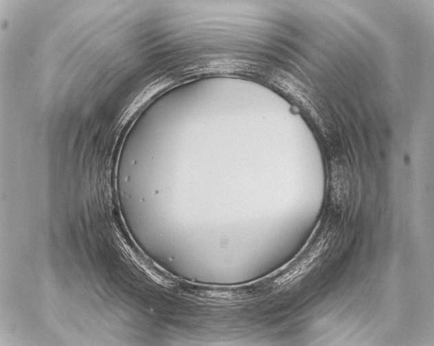 X0000059250794200511041332