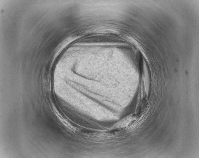 X0000059250795200511041332