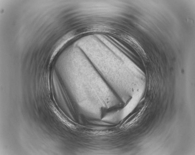 X0000059250796200511041332