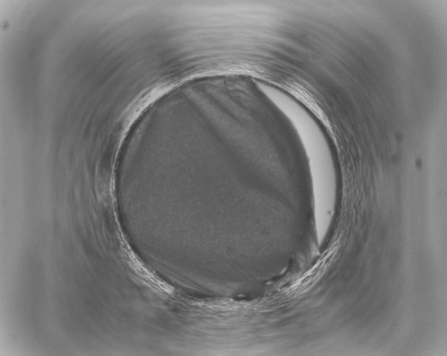 X0000059250797200511041332