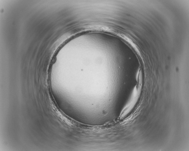 X0000059250799200511041332