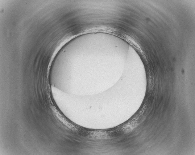 X0000059250800200511041332