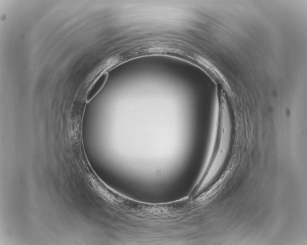 X0000059250801200511041332