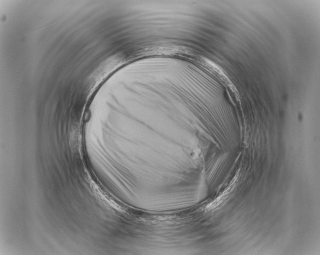 X0000059250802200511041332