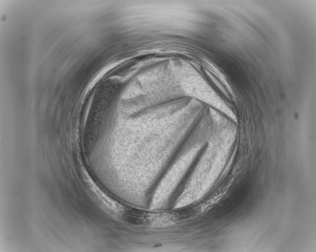 X0000059250803200511041332