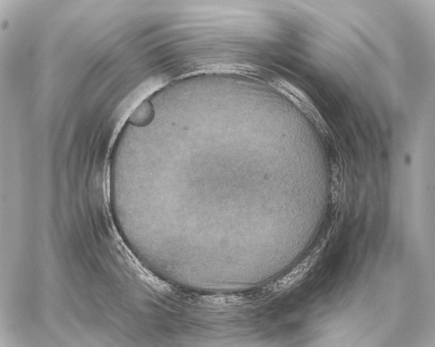 X0000059250804200511041332