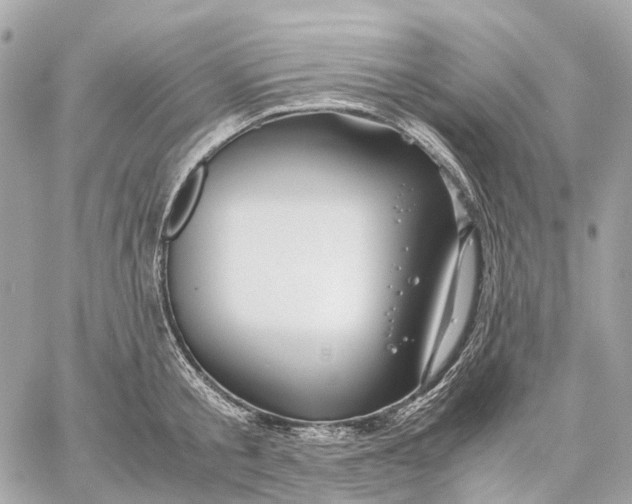 X0000059250805200511041332