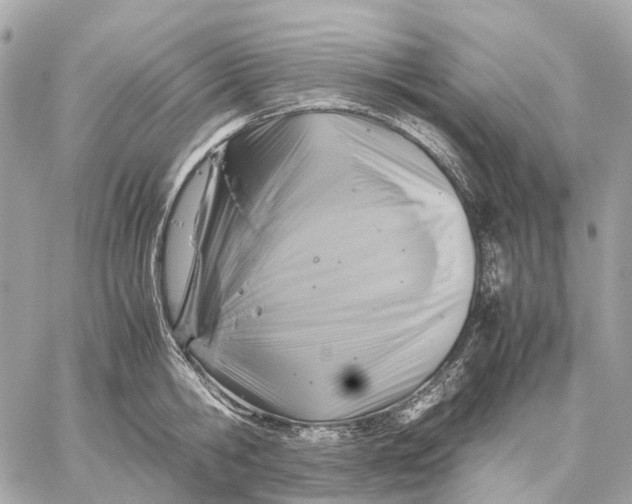 X0000059250806200511041332