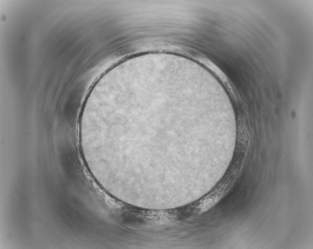 X0000059250807200511041332