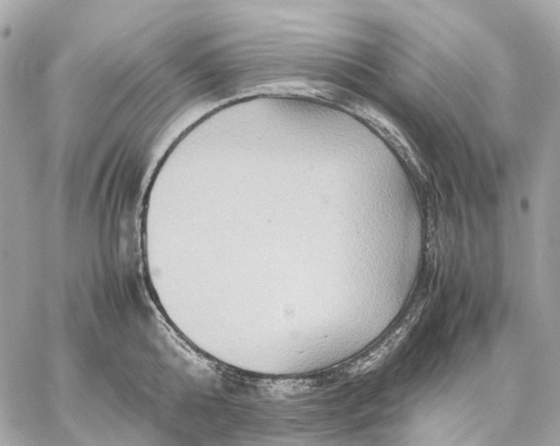 X0000059250808200511041332