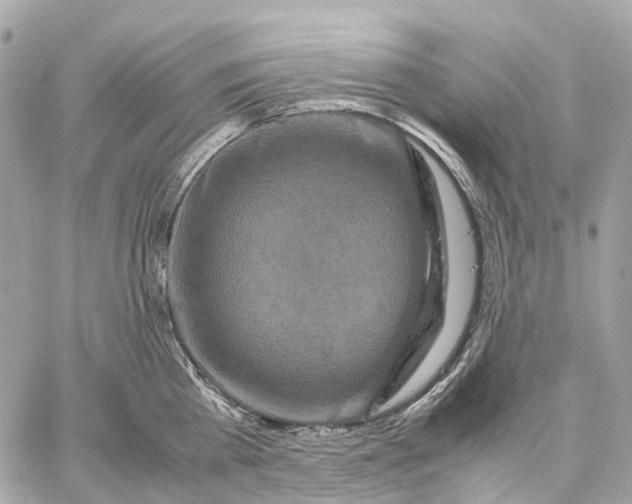 X0000059250809200511041332