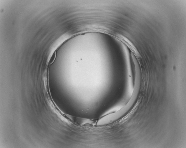 X0000059250812200511041332