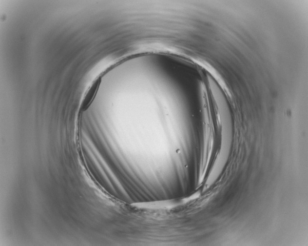 X0000059250815200511041332