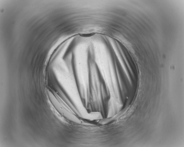 X0000059250816200511041332