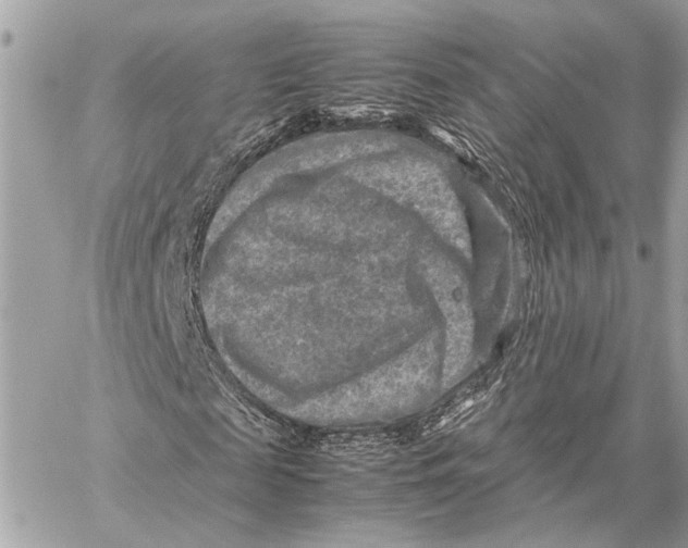 X0000059250817200511041331