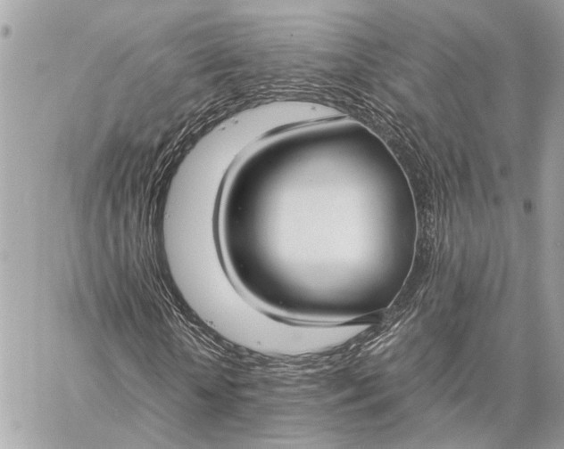 X0000059250818200511041331