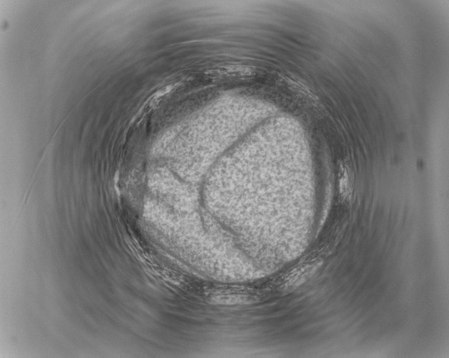 X0000059250819200511041331