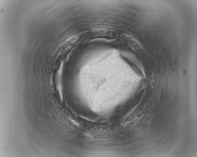 X0000059250821200511041331