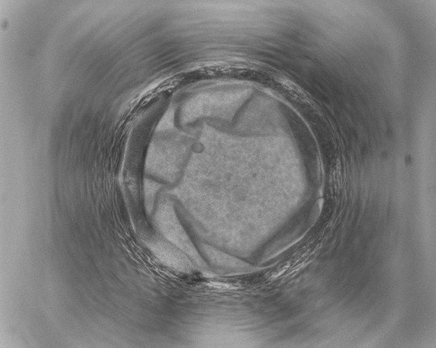 X0000059250822200511041331