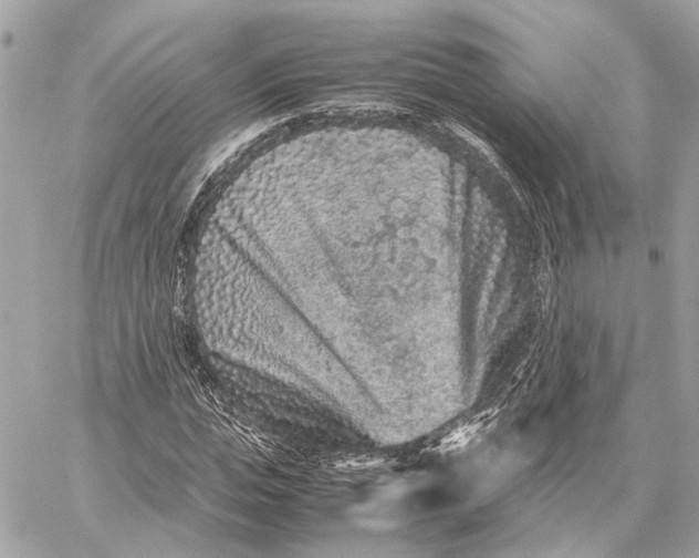 X0000059250823200511041331