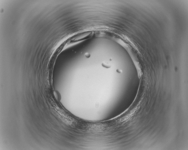 X0000059250830200511041331