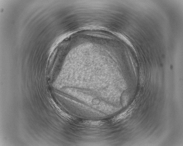 X0000059250831200511041331