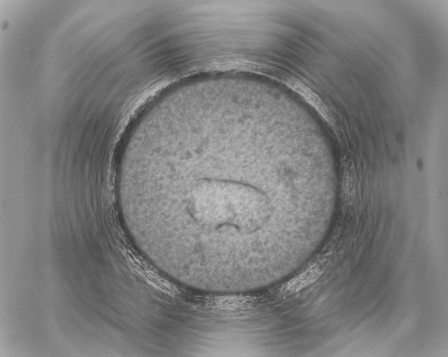 X0000059250832200511041331