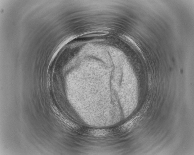 X0000059250835200511041331