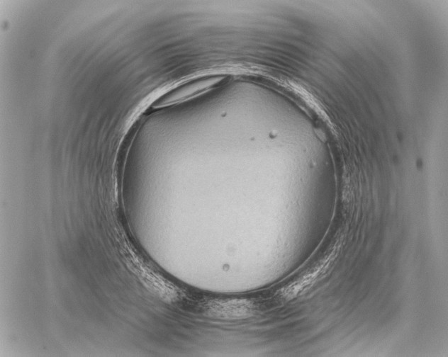 X0000059250837200511041332