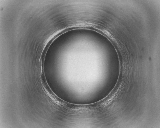 X0000059250838200511041332