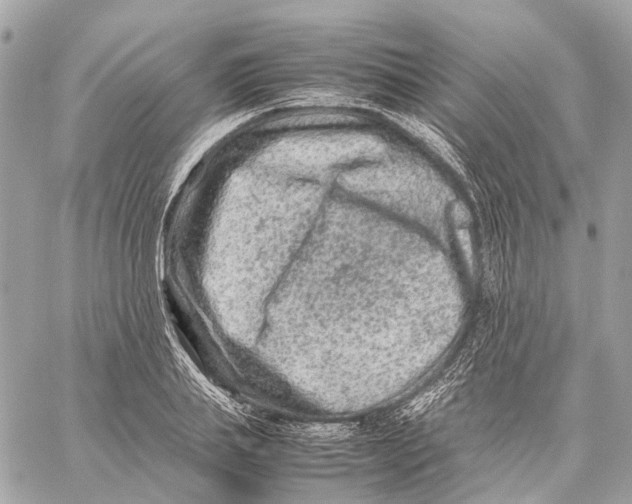 X0000059250839200511041332