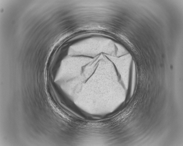 X0000059250840200511041332