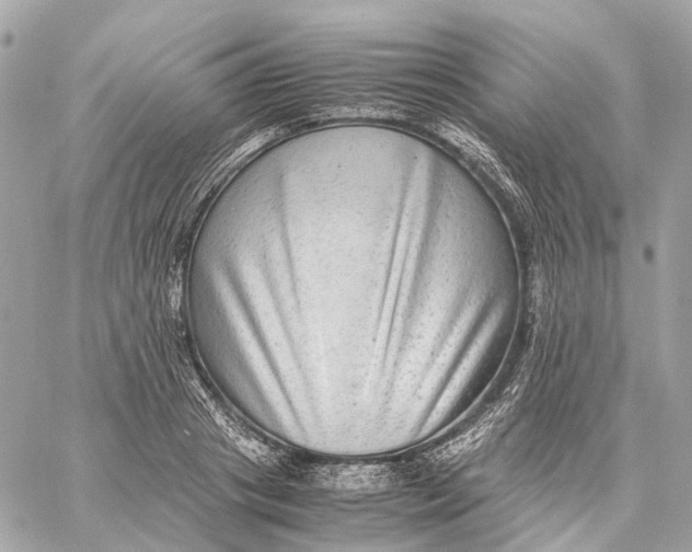 X0000059250841200511041332