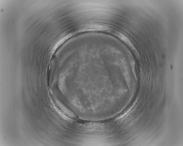 X0000059250842200511041332