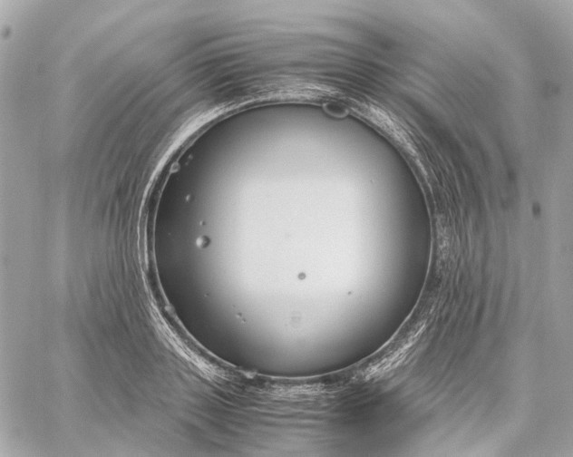 X0000059250843200511041332